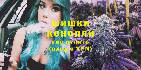 крисы Гусь-Хрустальный